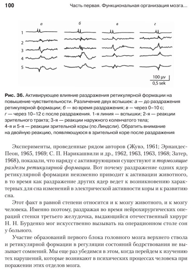 Основы нейропсихологии (Лурия Александр Романович) - фото №11