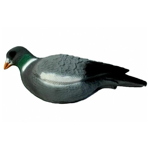 Чучело голубя вяхиря, 1 шт.