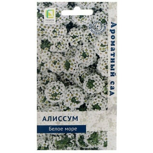 Семена цветов Алиссум Белое море, 0,3 г 10 упаковок