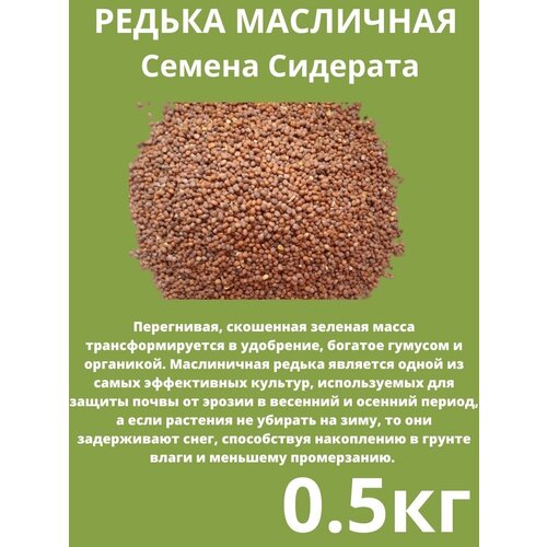 Семена Редька Масличная 0,5 кг