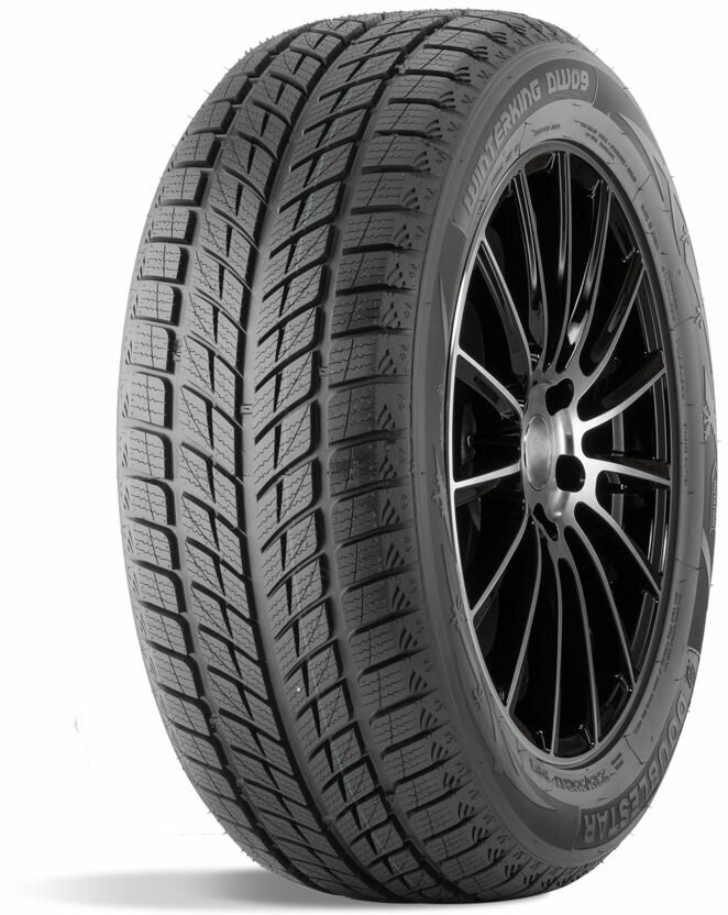 Шины зимние DoubleStar DW09 215/45 R17 91 H