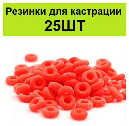 Резиновые кольца резинки (25шт) для кастрации и обезроживания удаления рогов коз баранов, козлов, козлят, ягнят овец - фотография № 1