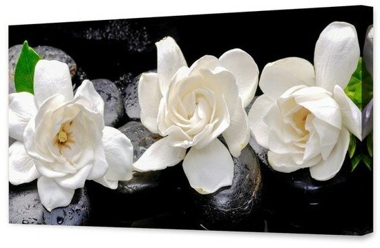 Картина на холсте "Белые цветы" 50х100 см Topposters 2614643 .