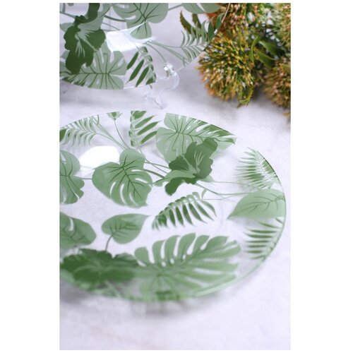 Набор десертных тарелок 195 мм зелёный декор на стекле, 6 шт