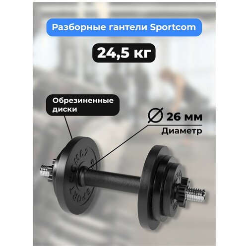 Гантель разборная BARFITS Sportcom D26 24,5 кг гантель разборная sportcom 16 5 кг 26 мм