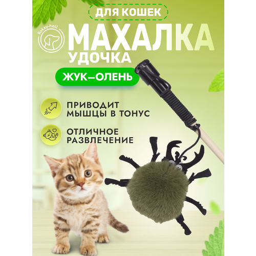 Игрушка для кошек Roksy-hall, Махалка, Жук олень, цвет зеленый