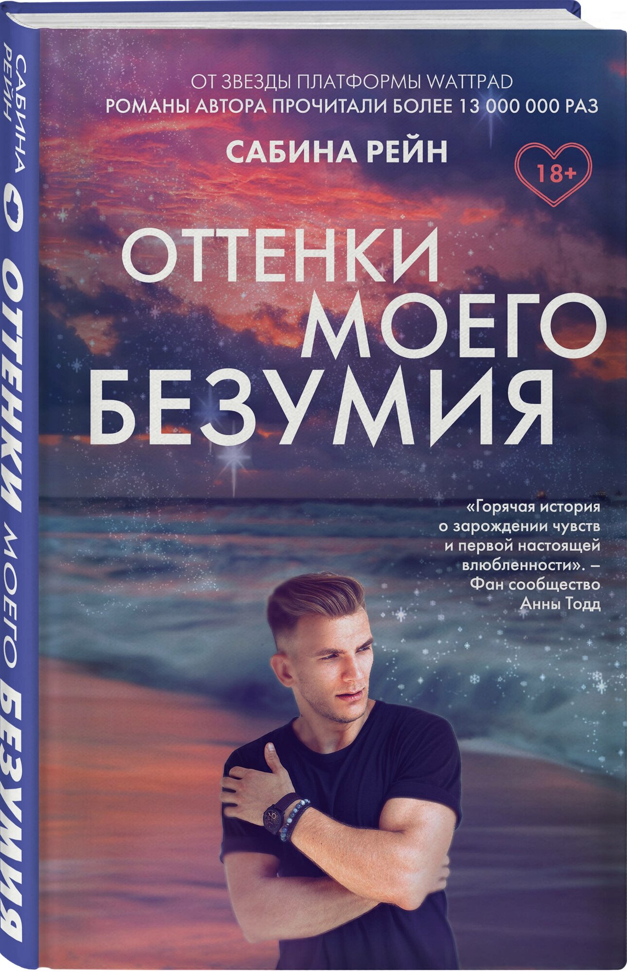 Рейн С. "Оттенки моего безумия"