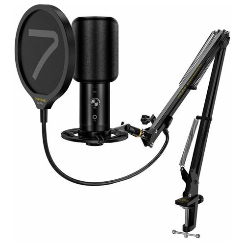 Микрофон 7Ryms SR-AU01-K1 1313500₽