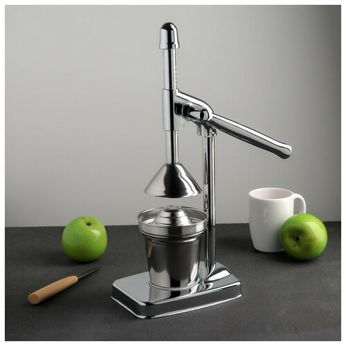 Соковыжималка механическая Fruits 2014537 см 562200₽