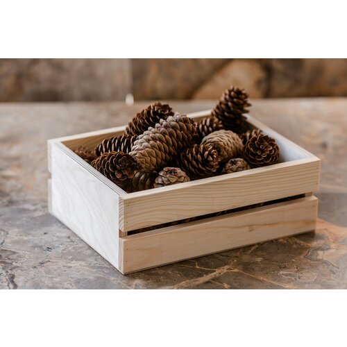 Деревянная подставка для специй, MARIO MARATA