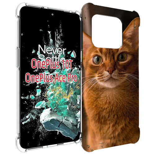 Чехол MyPads порода кошки абисинская для OnePlus 10T задняя-панель-накладка-бампер