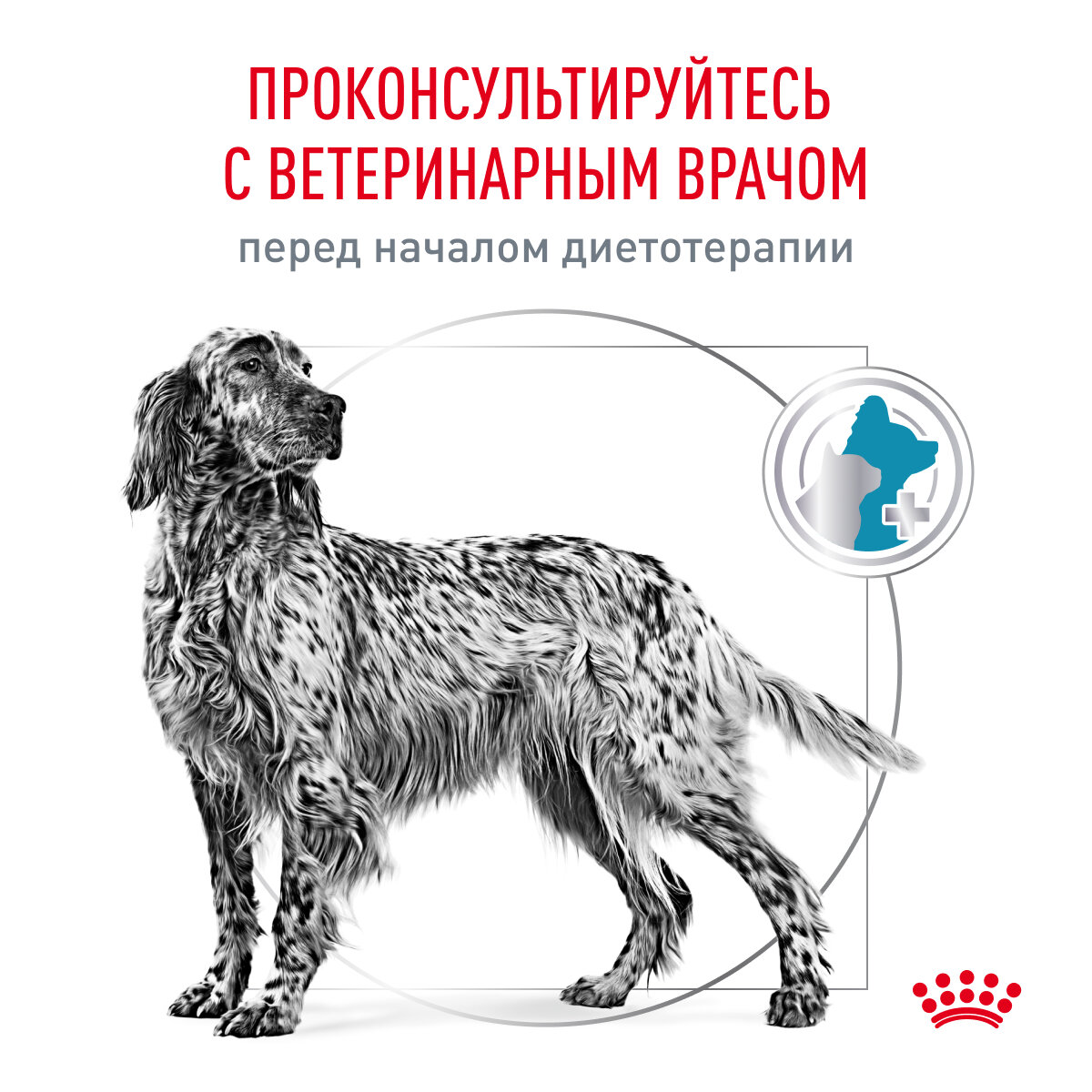 Сухой диетический корм Royal Canin Veterinary Diet Hypoallergenic для взрослых собак при пищевой аллергии и непереносимости, 2кг - фото №8