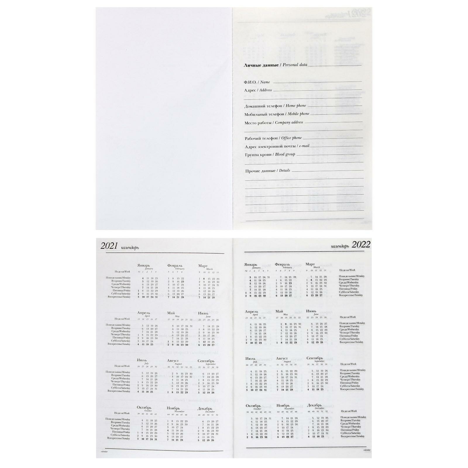 Ежедневник недатированный А5, 128 листов в клетку "Авокадо и пончик", твёрдая обложка, глянцевая ламинация, блок 55 г/м2 - фотография № 5