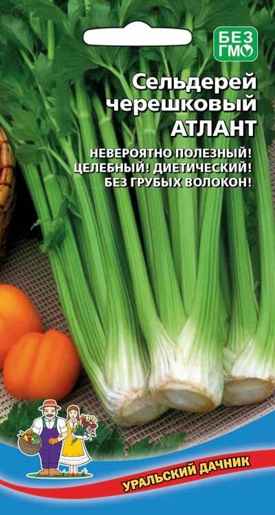 Сельдерей черешковый Атлант 0,5г, Уральский дачник