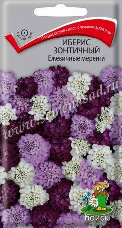Иберис зонтичный Ежевичные меренги 01г (Поиск)