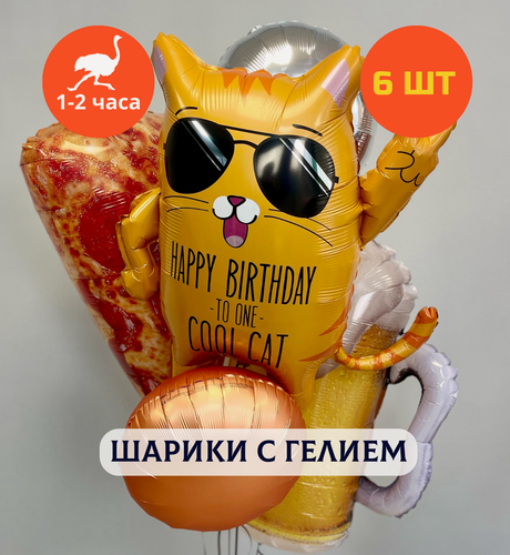 Изображение товара Воздушные шары с гелием, шары с днем рождения, набор шаров для мужчины "Крутой кот с пиццей и пивом", 6 шт.
