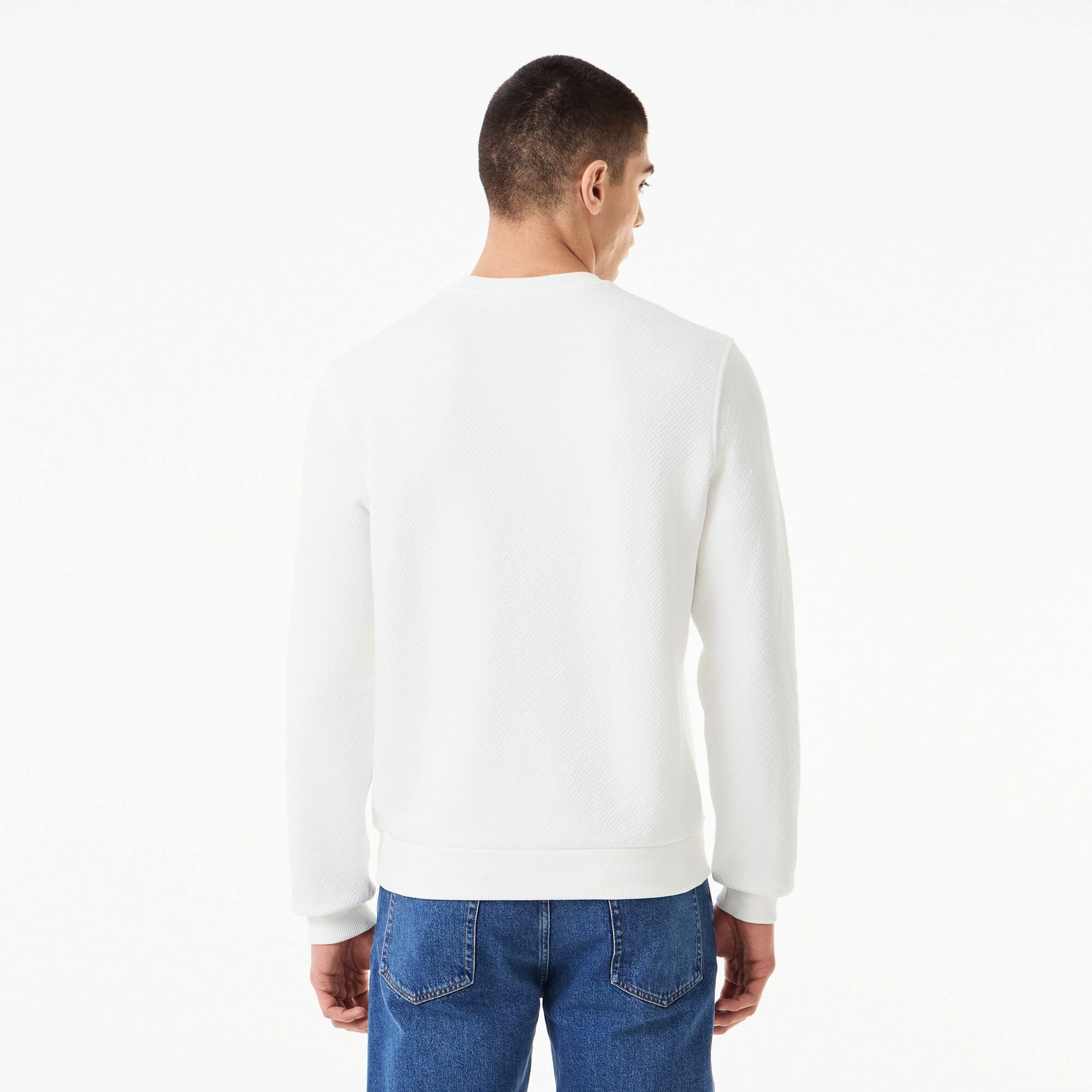 Мужской свитшот Lacoste, TH2333, темно-зеленый, T8 (RU 58) — фото 1
