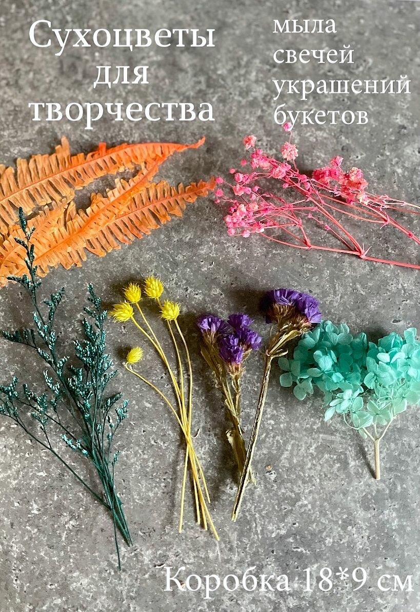 Набор сухоцветов / сухоцветы для творчества, мыла, свечей, украшений