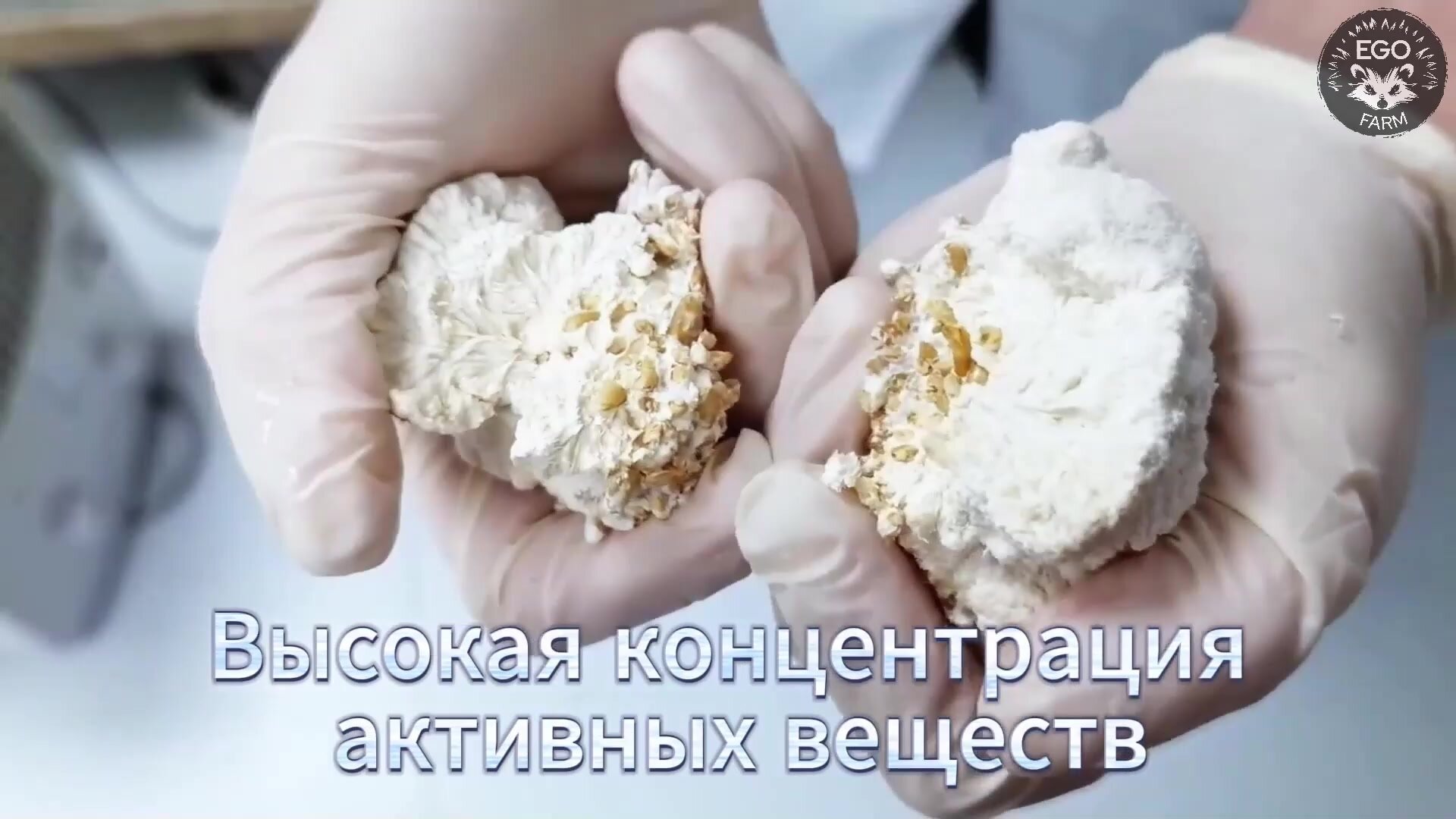 Грибной комплекс Панацея - Ежовик гребенчатый, Кордицепс и Траметес, в порошке 3 упаковки по 1000 грамм Эго-Фарм — фото 1