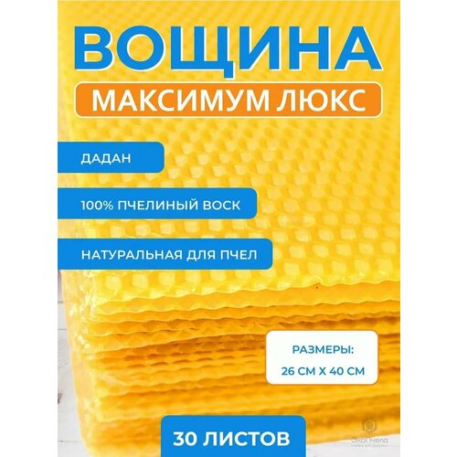 Вощина натуральная Максимум 30 шт