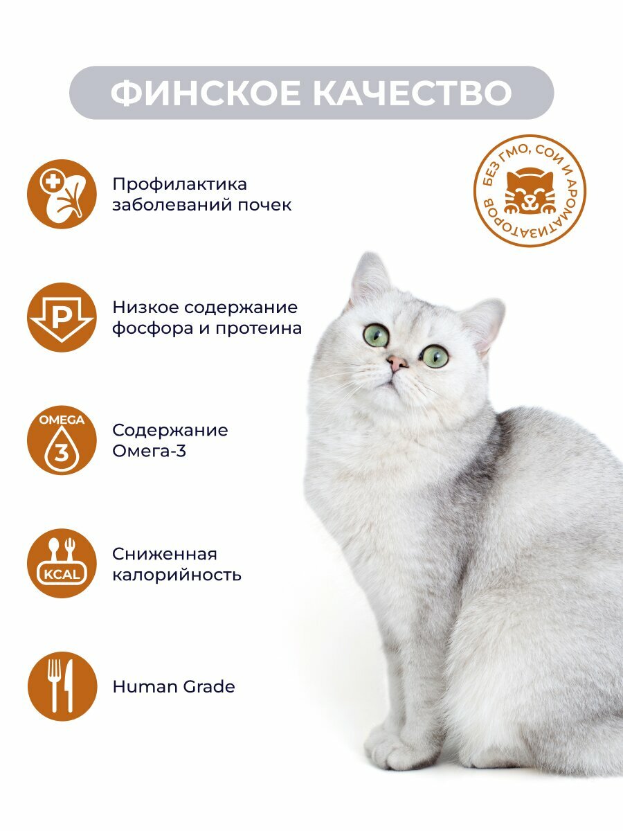 Влажный корм Jarvi Preventive diet line Renal для кошек для профилактики заболеваний почек (соус) Говядина, 85 г х 24 шт. — фото 1