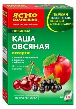 НК Каша овс. ассорти № 15 (с черной смородиной, вишней, яблоком) кор. 6*45 г т/м Ясно солнышко - фотография № 5