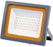 Прожектор Jazzway PFL-SC-SMD-50Вт 50Вт IP65 6500К мат. стекло 5001435