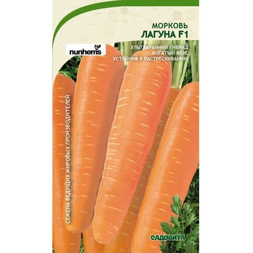 Семена садовита Морковь Лагуна F1 100 семечек 00156290 семена садовита морковь маэстро f1 200 семечек 00193041