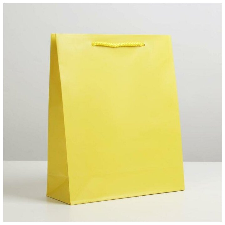 Пакет ламинированный «Жёлтый», ML 23 х 27 х 8 см