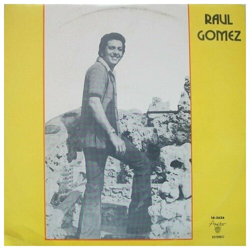 Raul Gomez - Caminando Y Aprendiendo A Vivir / Винтажная виниловая пластинка / LP / Винил