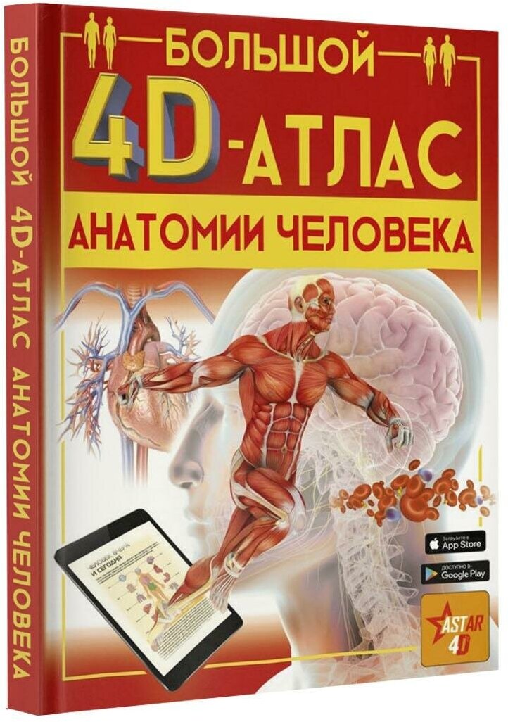 Спектор А. А. Большой 4D-атлас анатомии человека. Большой 4D атлас