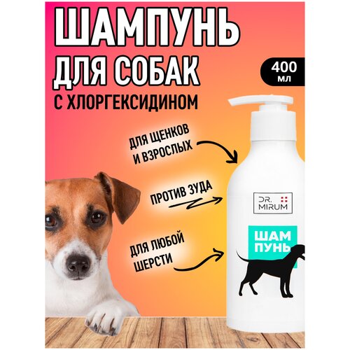 Шампунь для собак Dr. Mirum Premium For Pets антибактериальный с хлоргексидином, 400 мл