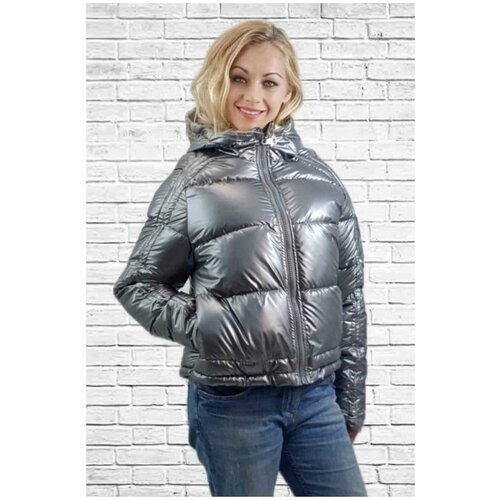 фото  куртка , демисезон/зима, силуэт свободный, размер 44, серебряный bgt