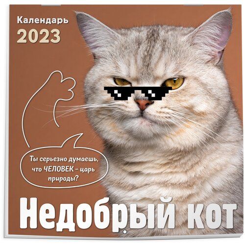 Недобрый кот. Календарь настенный на 2023 год (300х300)