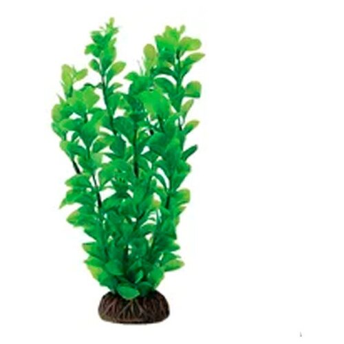 Растение для аквариума Бакопа зеленая, 100мм, Laguna, 2 шт.