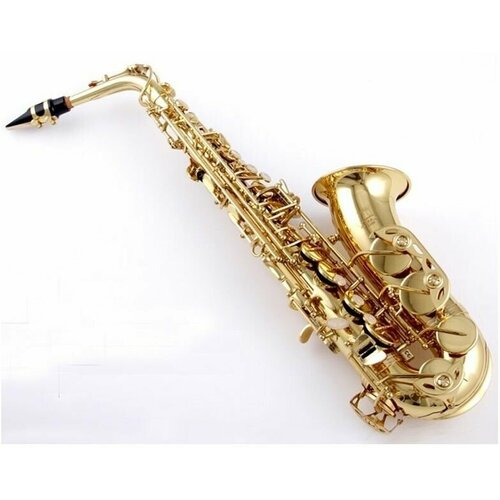 Альт-саксофон Stephan Weis AS-100G