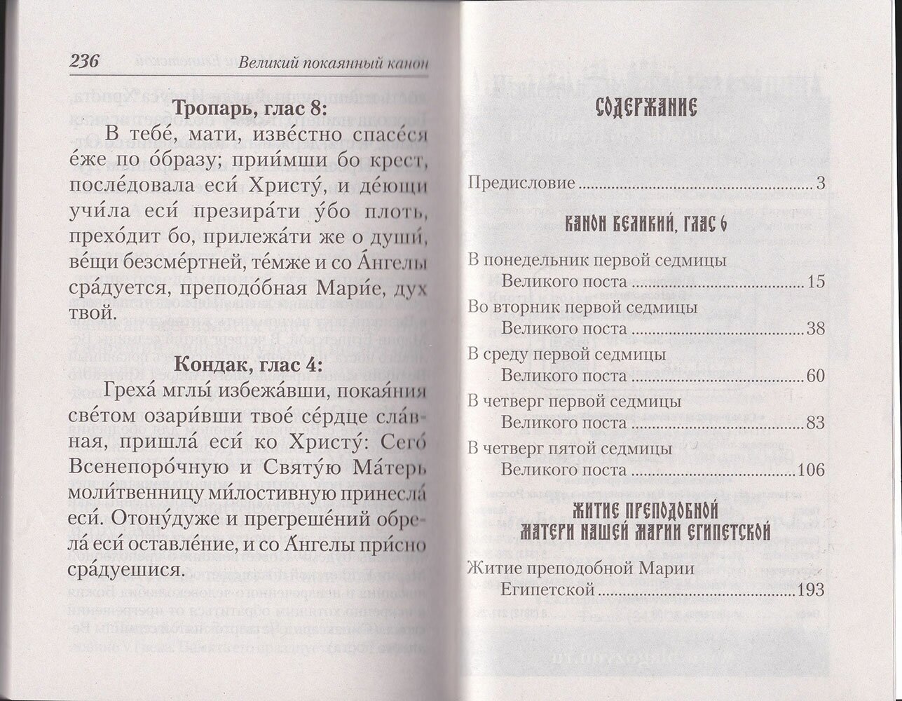 Великий покаянный канон Творение святого Андрея Критского Житие преподобной Марии Египетской - фото №2