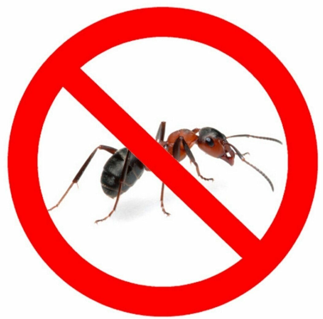 Жидкость-концентрат 10 мл, для уничтожения домашних насекомых-вредителей, циперметрин 25%, для борьбы с тараканами, клопами, муравьями, блохами - фотография № 5