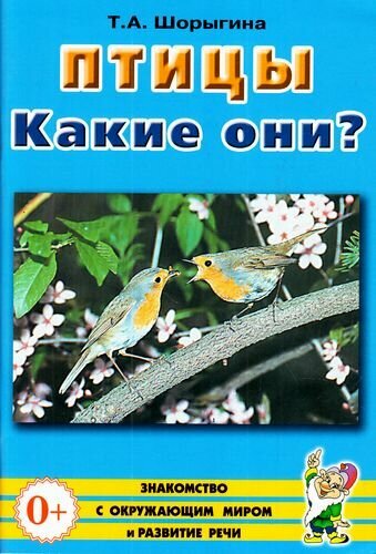 Птицы. Какие они? Книга для воспитателей, гувернеров и родителе (Шорыгина Т. А.)