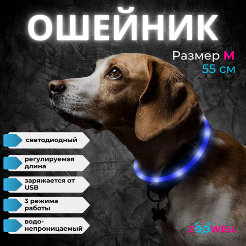 фото Ошейник светящийся led для животных, ошейник для собак, м, 55 см, синий, zoowell zdk