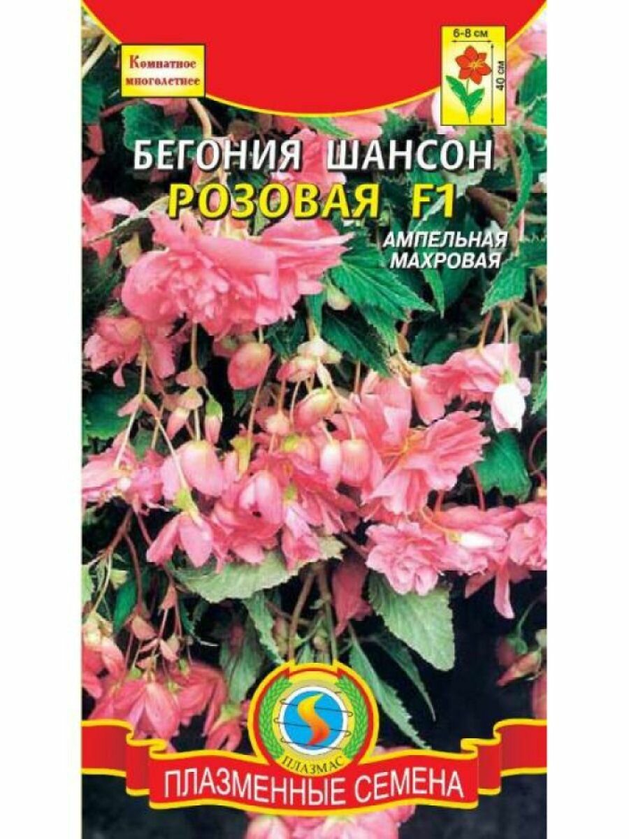 Бегония Шансон Розовая F1 клубневая ампельная 10драже в пробирке Плазменные семена