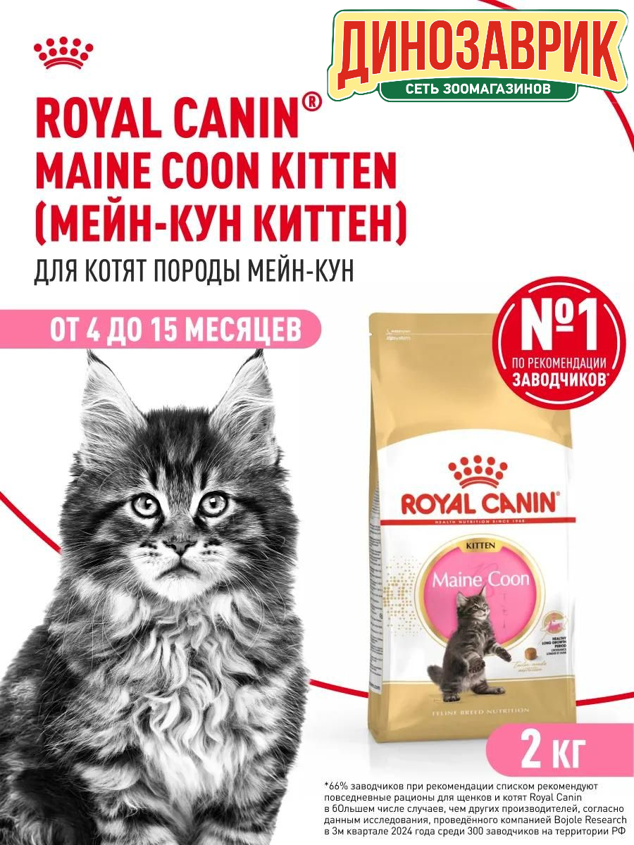 Сухой корм для котят Royal Canin Мейн-кун, профилактика зубного камня 2 кг