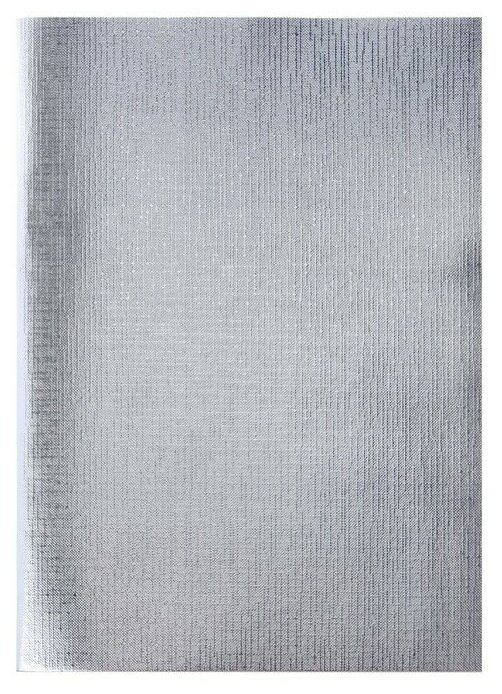 Hatber Тетрадь А4, 96 листов в клетку "Серебро. METALLIC", обложка бумвинил