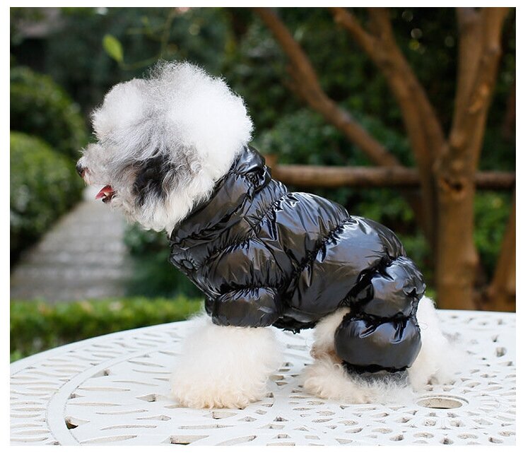 Комбинезон зимний - одежда для мелких собак и крупных кошек - фотография № 3