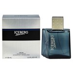 Iceberg Мужской Iceberg Homme Туалетная вода (edt) 100мл - изображение