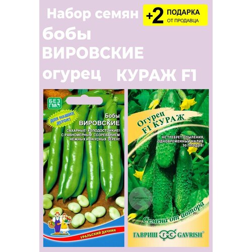 Семена Бобы 