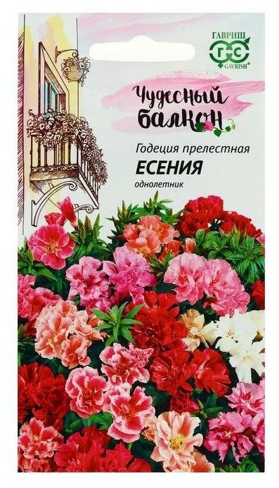 Семена цветов Годеция "Есения", низкая, смесь, серия Чудесный балкон, 0,05 г