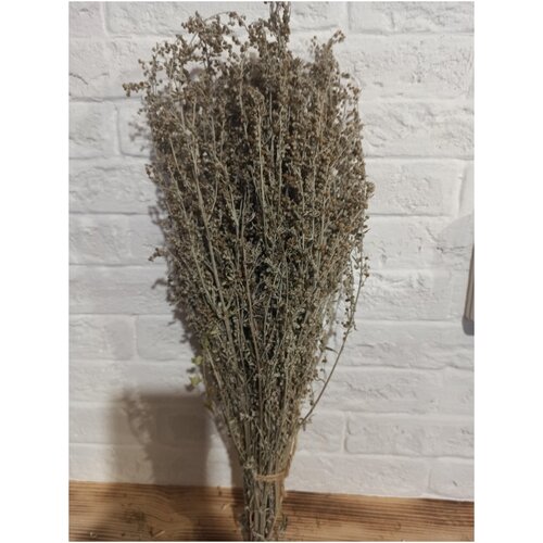 Веник из полыни горькой