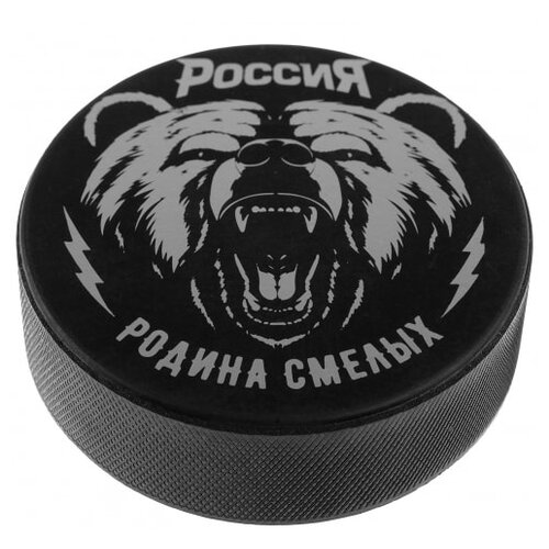 Шайба хоккейная взрослая Россия, d=7,5 см, h=2,5 см, 170 г Winter Star 4481514 .