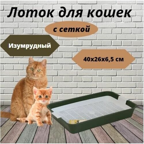 Лоток для кошек с сеткой Моськи-Авоськи, 40х26х6,5 см, цвет изумрудный